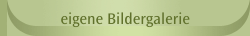 eigene Bildergalerie