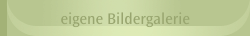 eigene Bildergalerie